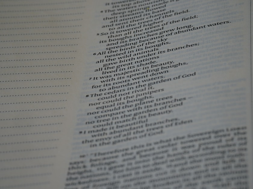 MVP 출시 후 시장 반응 분석: 데이터 기반 제품 개선 전략